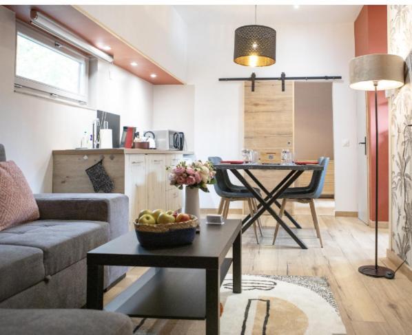 Apartamento La Peniche De Fabrice Avec Jacuzzi Privatif Estrasburgo Habitación foto
